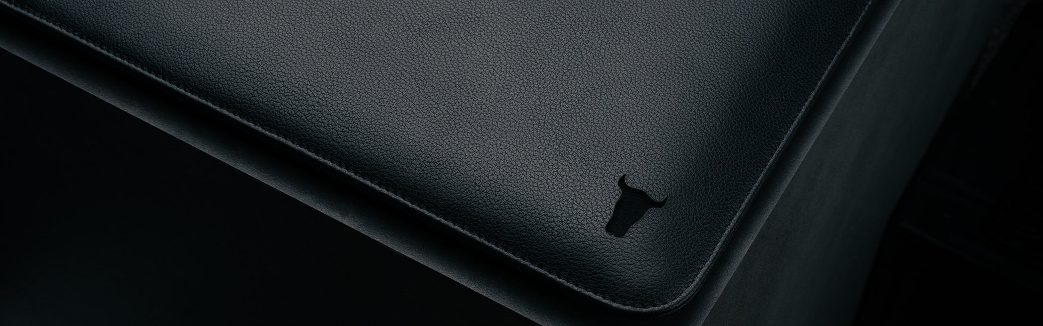 Laptop Bags/Sleeves